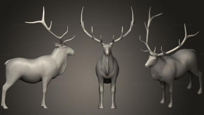 Animal figurines (Bull Elk, STKJ_0771) 3D models for cnc